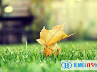 2021年廣元中考網(wǎng)上報(bào)考信息平臺(tái)