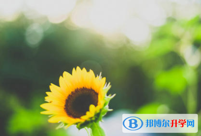 2021年廣元中考網絡應用平臺