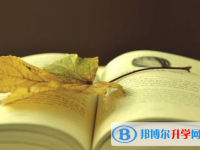 重慶中考志愿官網