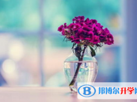 重慶中考調劑志愿