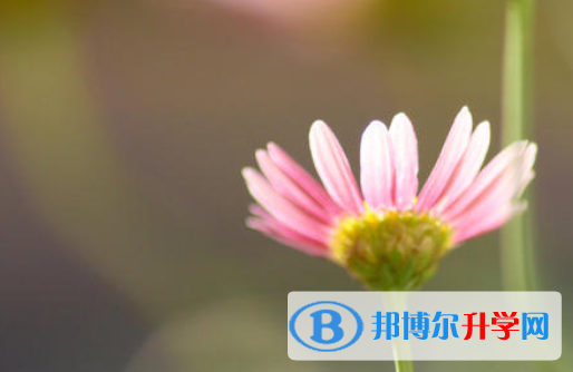 2021年渭南中考成績(jī)查詢(xún)時(shí)間