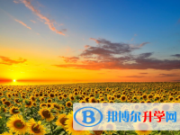2020年曲靖中考成績(jī)?cè)趺床樵? /><b>2020年曲靖中考成績(jī)?cè)趺床樵?/b><span>2021-01-18 14:23</span><p>同學(xué)們?cè)谥锌颊麄€(gè)期間心理上都會(huì)有一個(gè)不斷變化的過(guò)程。這個(gè)過(guò)程大致應(yīng)該是這樣的：考前復(fù)習(xí)緊張考試緊張考完興奮等待成績(jī)緊張、</p></a></h3></li>
            <li><h3><a href=