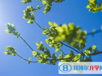 2020年自貢中考成績好久出來