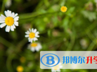 2021年涼山中考哪個地方最難