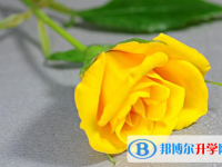 2020年樂山中考升學率