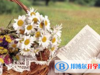 2020年樂山今年中考統招線包括哪些區域