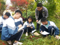 大竹縣廟壩中學(xué)2023年招生錄取分?jǐn)?shù)線