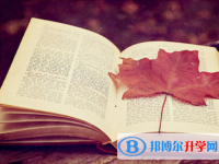 2020年樂(lè)山中考怎樣填志愿