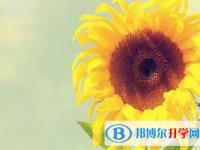 2020年樂山中考填志愿統招和調劑