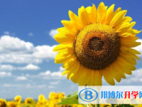 2020年樂山中考填志愿的網站