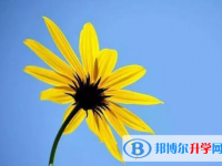 2020年巴中中考網上報名系統