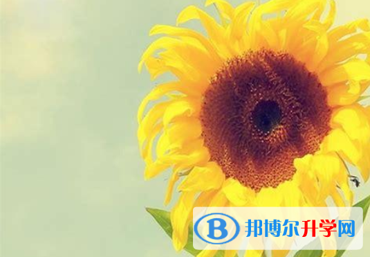2020年南充中考網登錄