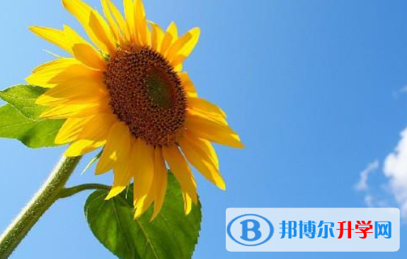 2020年南充中考的統招和調劑說明