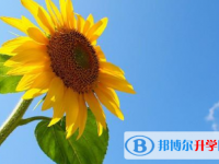 2020年南充中考的統招和調劑說明