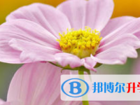 2021年涼山中考成績好久出來