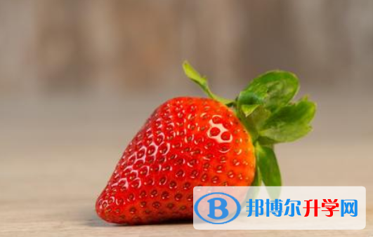 2020年內江中考報名查詢