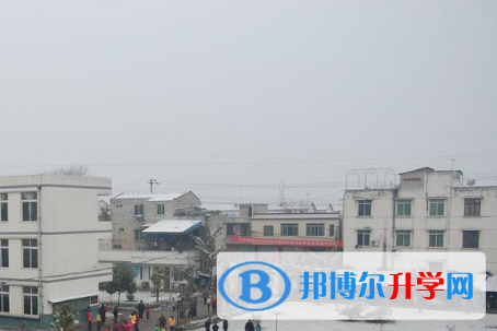成都市青白江區龍王中學2022年招生代碼