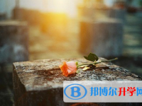 2021年漢中中考服務應用平臺