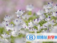 2021年石家莊如何查詢中考成績(jī)