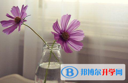 2021年石家莊外地生中考怎沒成績(jī)
