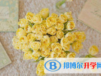 2021年石家莊網(wǎng)上查詢中考成績