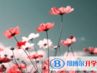2021年石家莊網(wǎng)上查詢中考成績怎么查詢