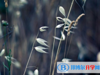 2021年石家莊中考成績查詢