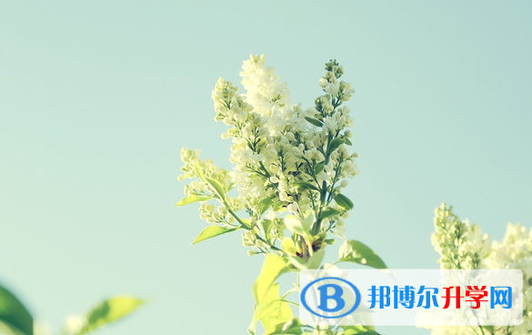 2021年石家莊中考成績?nèi)绾尾樵? width=