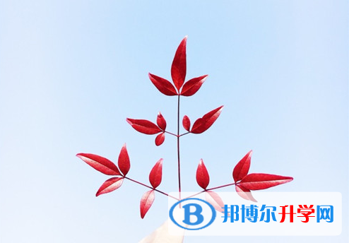 2021年石家莊近幾年中考重點線