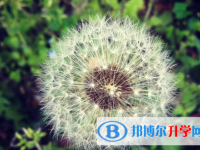 2021年石家莊考起重高的人數
