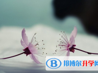 2021年石家莊中考考試時間