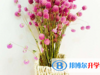 2021年商洛中考招生計劃查詢