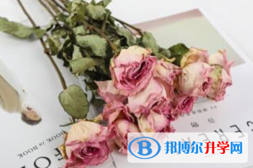 2021年商洛中考招生考試查詢系統(tǒng)