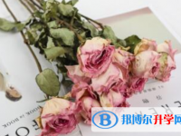 2021年商洛中考招生考試查詢系統
