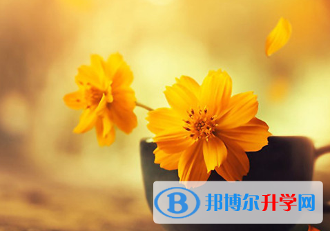 2021年石家莊中考報名網站