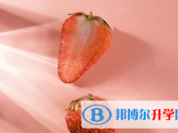 2021年商洛中考重點復習資料
