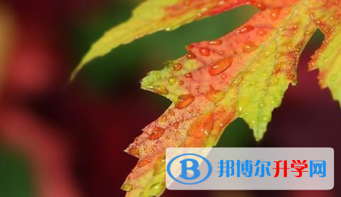 2021年秦皇島中考派的學校有哪些學校