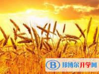 2021年邯鄲中考可以報哪些學(xué)校