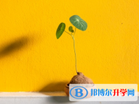 邯鄲2021年中考網絡服務平臺