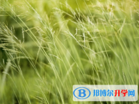 邯鄲2021年中考網上報名