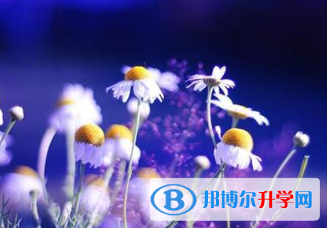 邯鄲2021年中考志愿官網
