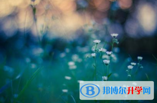 邯鄲2021年中考重點(diǎn)復(fù)習(xí)資料