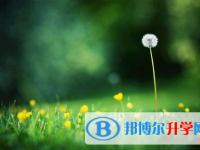 邯鄲2021年中考重點線預測