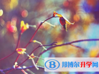 邯鄲2021年中考自主招生報名有哪些學校