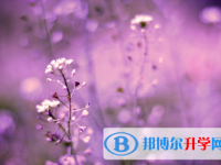 邯鄲2021年今年中考統招線包括哪些區域