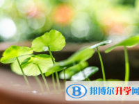 保定2021年今年初中考試時(shí)間