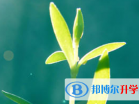 保定2021年中考報(bào)名服務(wù)平臺(tái)