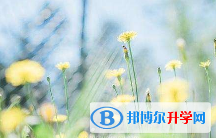 保定2021年中考報名學校
