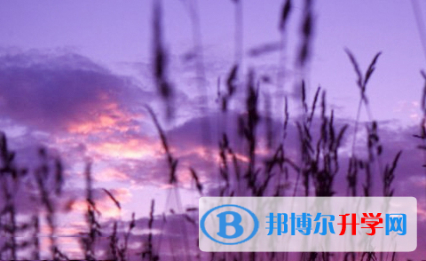 保定2021年中考準考證丟了怎么辦