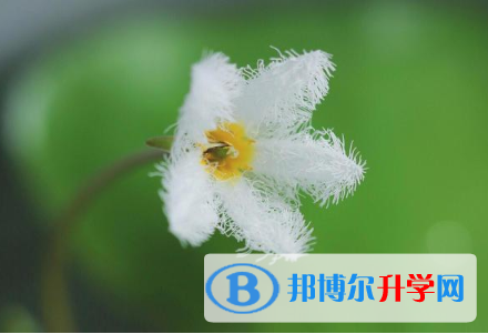 寶雞2021年中考志愿填報表